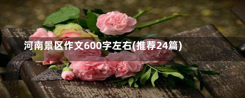 河南景区作文600字左右(推荐24篇)