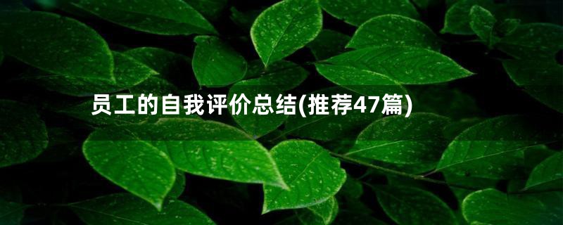 员工的自我评价总结(推荐47篇)