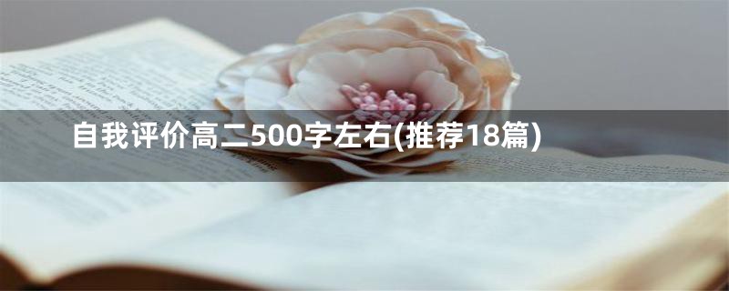 自我评价高二500字左右(推荐18篇)