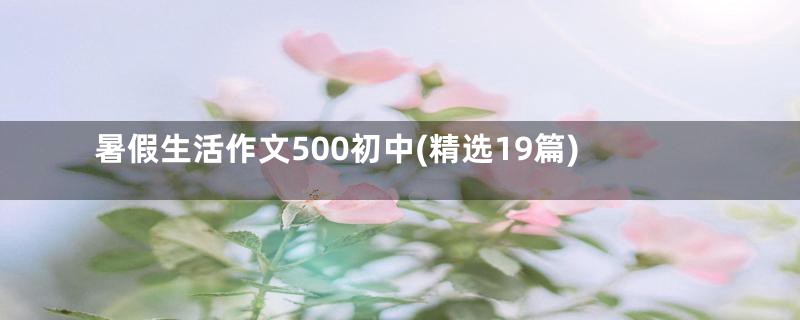 暑假生活作文500初中(精选19篇)